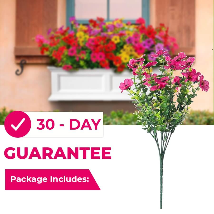 Always Blooming, Zero Maintenance