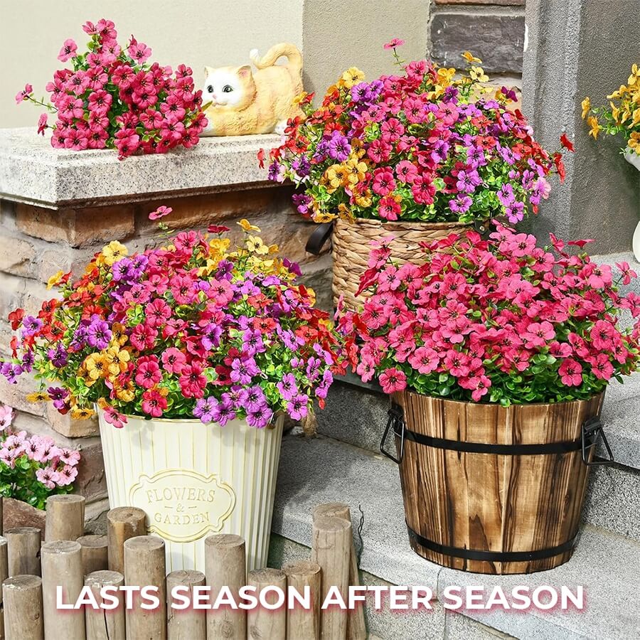 Always Blooming, Zero Maintenance