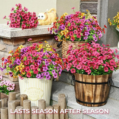 Always Blooming, Zero Maintenance